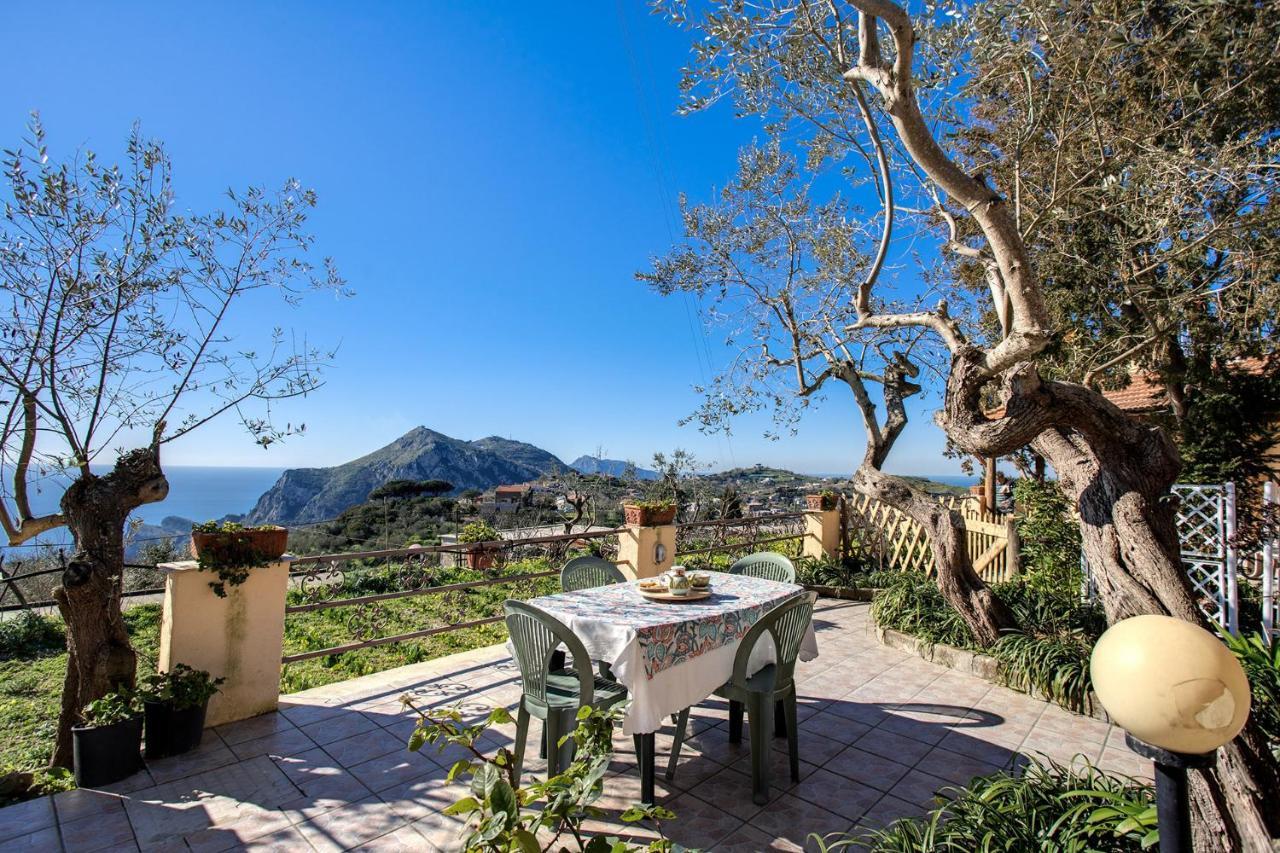 Il Pioppo - Country House Sea View Масса-Лубренсе Экстерьер фото